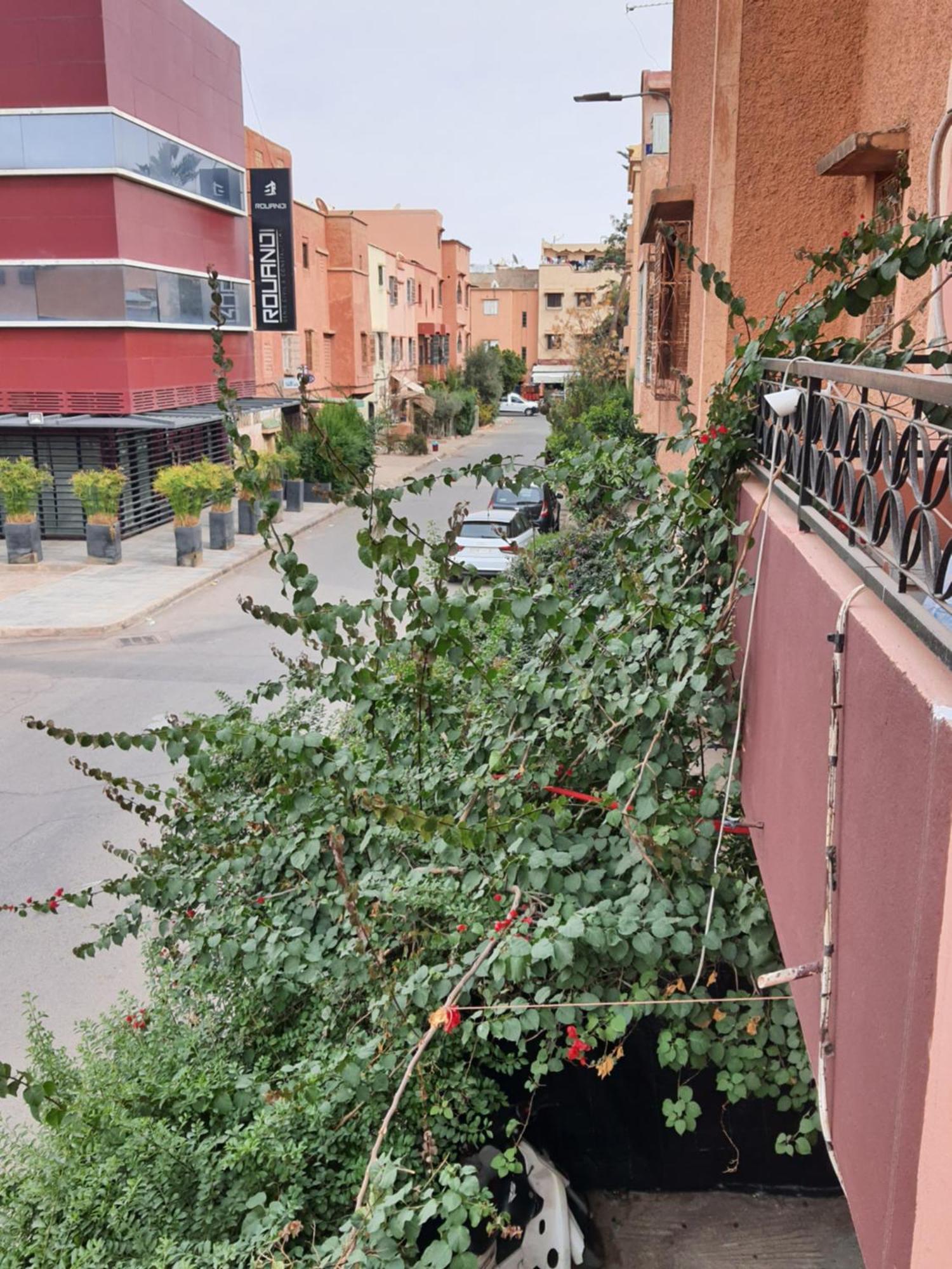 Marrakech Plus Marrakesh Exterior photo